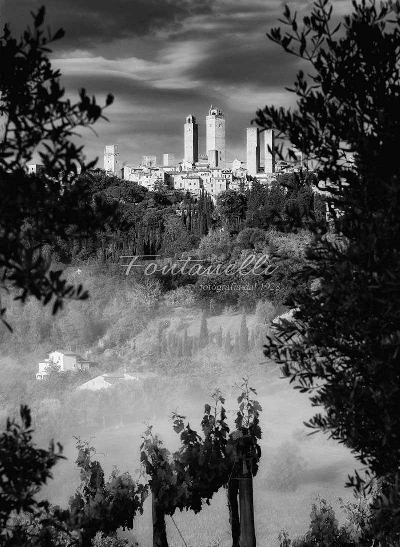 Foto-di-San-Gimignano-incorniciate-da-fronde-Bianco-e-Nero-Toscana