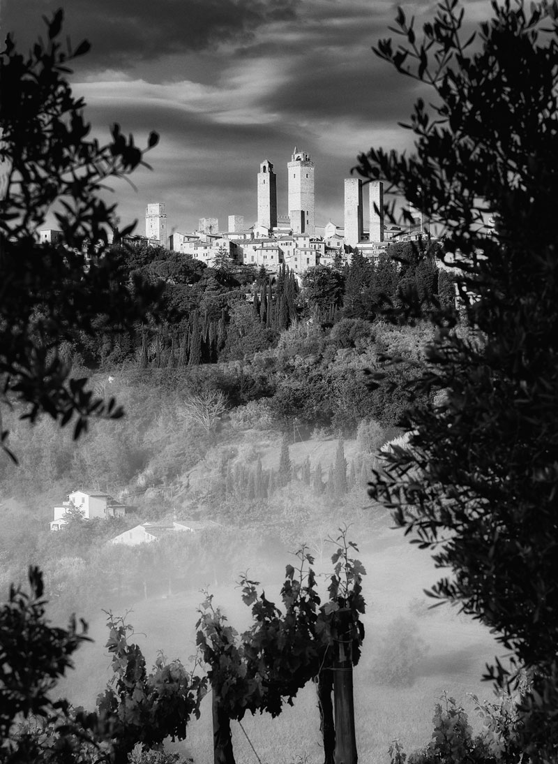 Foto di San Gimignano incorniciate da fronde. Bianco e Nero, Toscana