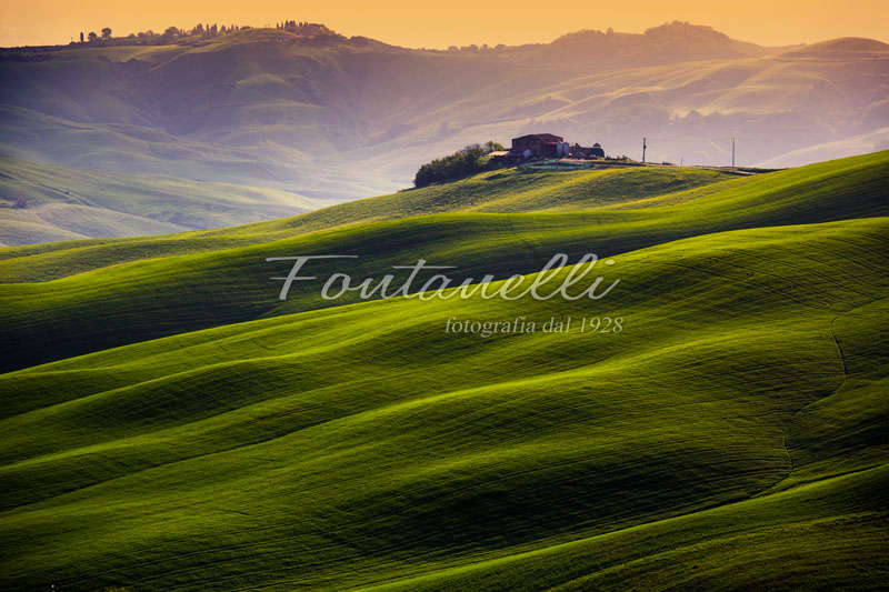 Foto-di-campagna-di-Asciano-Toscana