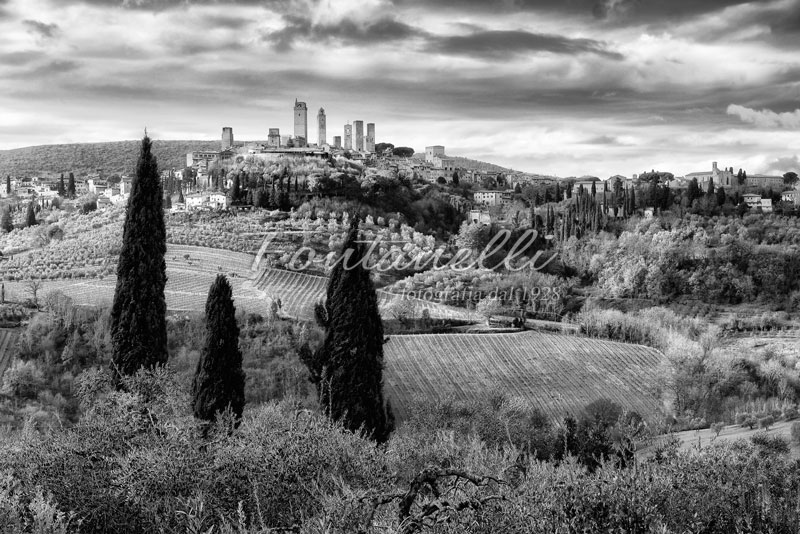 Foto-in-bianco-e-nero-di-campagna-con-San-gimignano-e-cipressi