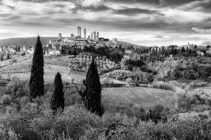 Black and white country photos with San gimignano and cypress trees, Tuscany