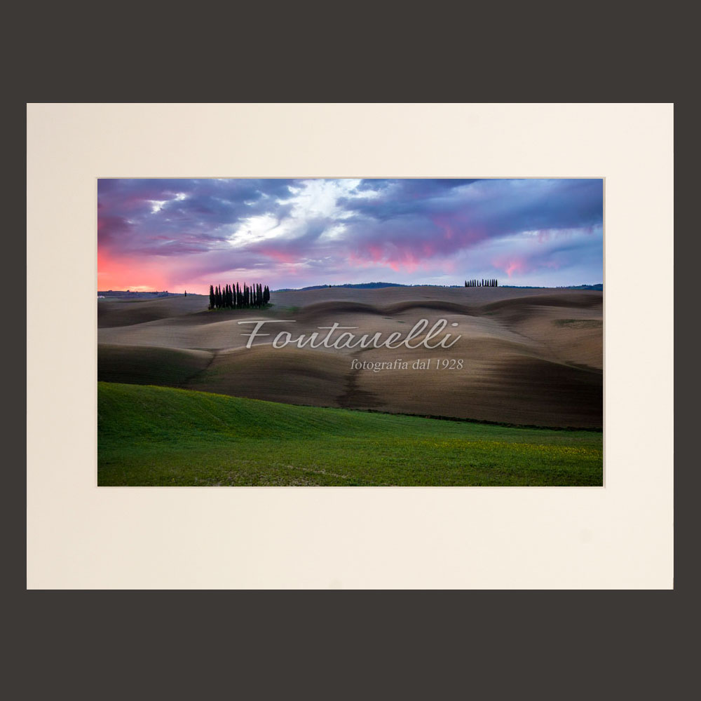 Panoramic photo of cypress trees in Val d’Orcia, Tuscany