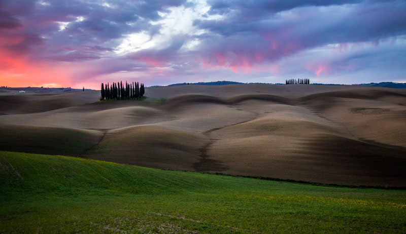 Panoramic photo of cypress trees in Val d’Orcia, Tuscany