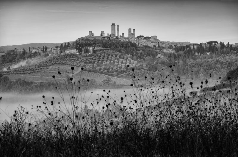 San Gimignano and dried flowers, Tuscany