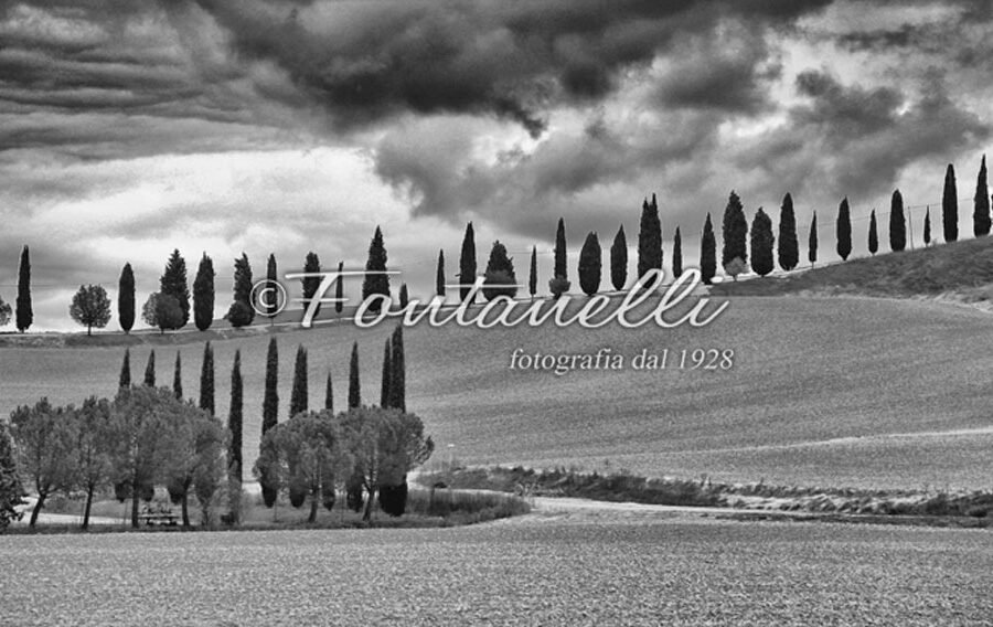 Foto Crete senesi, Toscana