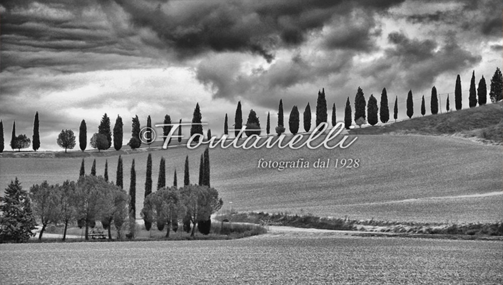 foto-Crete-Senesi,-Toscana