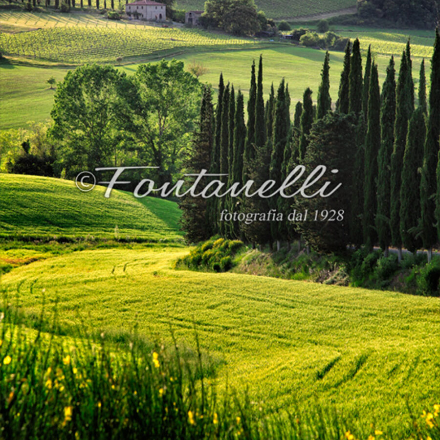 Foto campagna toscana in primavera, Toscana