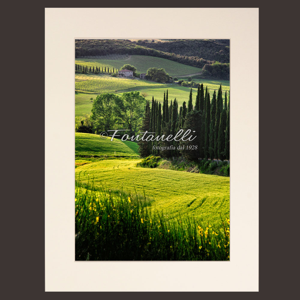 foto-campagna-primavera-in-Toscana-(passpartout)