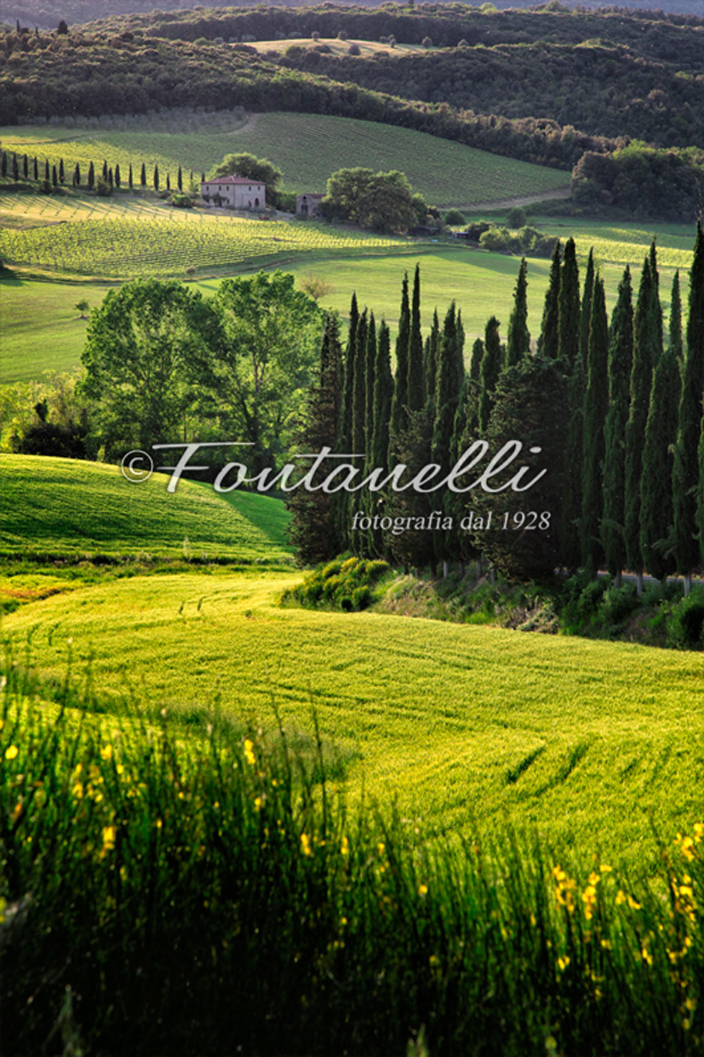 foto-campagna-primavera-in-Toscana