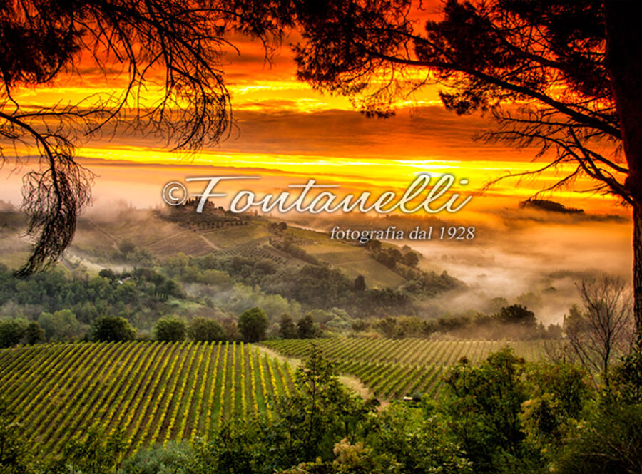 Foto campagna circostante San Gimignano all'alba, Toscana