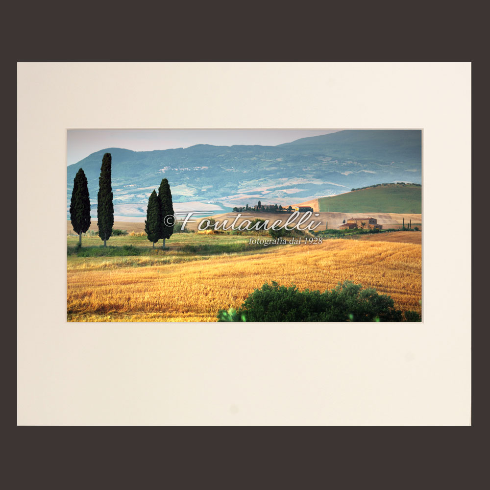foto-campo-di-grano-con-cipressi,-Val-d’Orcia,-Toscana-(passpartout)