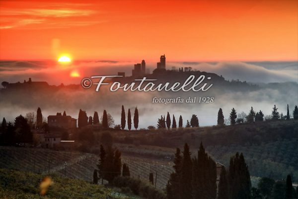 Tour fotografici a San Gimignano